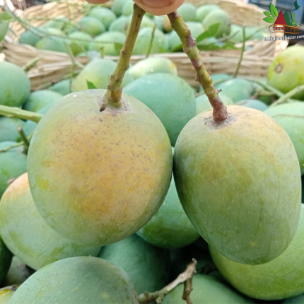 হিমসাগর আম